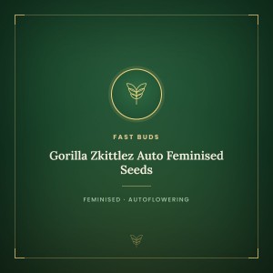 Gorilla Zkittlez Auto Feminised Seeds Gorilla Zkittlez Auto Feminised Seeds