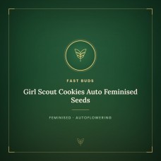 Girl Scout Cookies Auto Feminised Seeds Girl Scout Cookies Auto Feminised Seeds