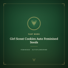 Girl Scout Cookies Auto Feminised Seeds Girl Scout Cookies Auto Feminised Seeds