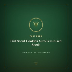 Girl Scout Cookies Auto Feminised Seeds Girl Scout Cookies Auto Feminised Seeds