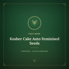 Kosher Cake Auto Feminised Seeds Kosher Cake Auto Feminised Seeds
