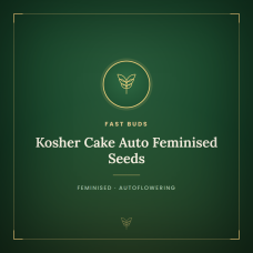 Kosher Cake Auto Feminised Seeds Kosher Cake Auto Feminised Seeds