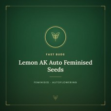 Lemon AK Auto Feminised Seeds Lemon AK Auto Feminised Seeds