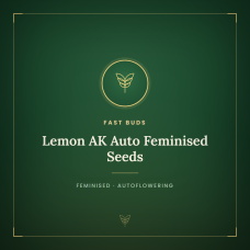 Lemon AK Auto Feminised Seeds Lemon AK Auto Feminised Seeds