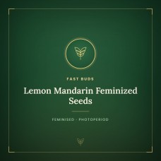 Lemon Mandarin Feminized Seeds