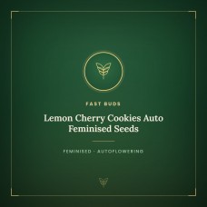 Lemon Cherry Cookies Auto Feminised Seeds Lemon Cherry Cookies Auto Feminised Seeds