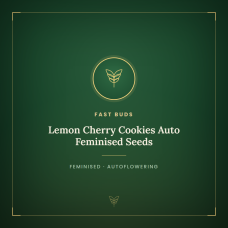 Lemon Cherry Cookies Auto Feminised Seeds Lemon Cherry Cookies Auto Feminised Seeds