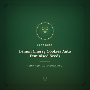 Lemon Cherry Cookies Auto Feminised Seeds Lemon Cherry Cookies Auto Feminised Seeds