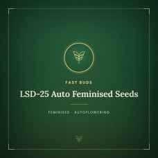 LSD-25 Auto Feminised Seeds LSD-25 Auto Feminised Seeds