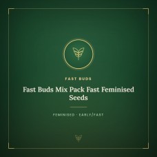 Fast Buds Mix Pack Fast Feminised Seeds Fast Buds Mix Pack Fast Feminised Seeds