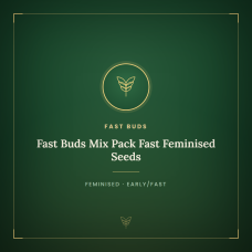 Fast Buds Mix Pack Fast Feminised Seeds Fast Buds Mix Pack Fast Feminised Seeds