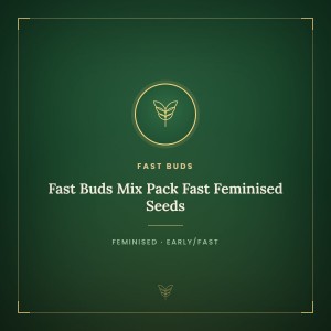Fast Buds Mix Pack Fast Feminised Seeds