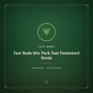 Fast Buds Mix Pack Fast Feminised Seeds Fast Buds Mix Pack Fast Feminised Seeds