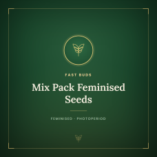 Mix Pack Feminised Seeds Mix Pack Feminised Seeds