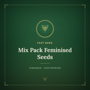 Mix Pack Feminised Seeds Mix Pack Feminised Seeds