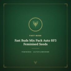 Fast Buds Mix Pack Auto RF3 Feminised Seeds Fast Buds Mix Pack Auto RF3 Feminised Seeds