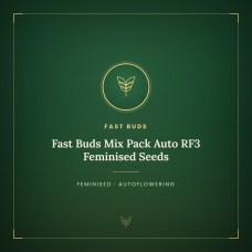 Fast Buds Mix Pack Auto RF3 Feminised Seeds Fast Buds Mix Pack Auto RF3 Feminised Seeds