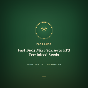 Fast Buds Mix Pack Auto RF3 Feminised Seeds Fast Buds Mix Pack Auto RF3 Feminised Seeds