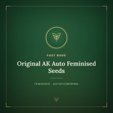 Original AK Auto Feminised Seeds Original AK Auto Feminised Seeds