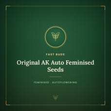 Original AK Auto Feminised Seeds Original AK Auto Feminised Seeds
