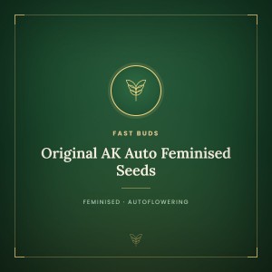 Original AK Auto Feminised Seeds Original AK Auto Feminised Seeds