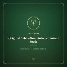 Original BubbleGum Auto Feminised Seeds Original BubbleGum Auto Feminised Seeds