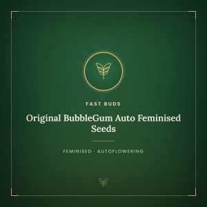 Original BubbleGum Auto Feminised Seeds