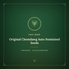Original Chemdawg Auto Feminised Seeds Original Chemdawg Auto Feminised Seeds