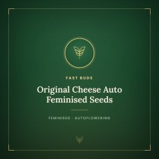 Original Cheese Auto Feminised Seeds Original Cheese Auto Feminised Seeds