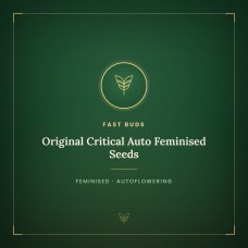 Original Critical Auto Feminised Seeds Original Critical Auto Feminised Seeds
