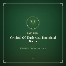 Original OG Kush Auto Feminised Seeds Original OG Kush Auto Feminised Seeds