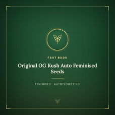Original OG Kush Auto Feminised Seeds Original OG Kush Auto Feminised Seeds