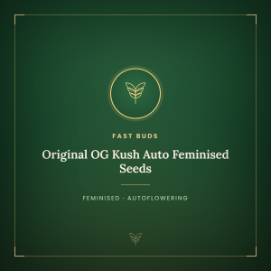 Original OG Kush Auto Feminised Seeds Original OG Kush Auto Feminised Seeds