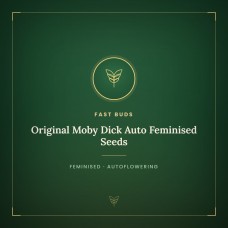 Original Moby Dick Auto Feminised Seeds Original Moby Dick Auto Feminised Seeds