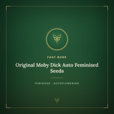 Original Moby Dick Auto Feminised Seeds Original Moby Dick Auto Feminised Seeds
