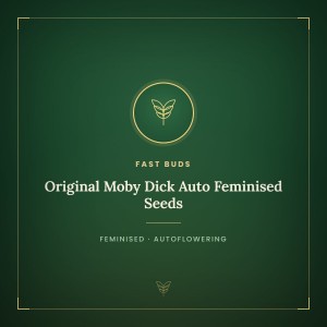 Original Moby Dick Auto Feminised Seeds Original Moby Dick Auto Feminised Seeds