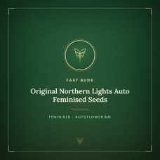 Original Northern Lights Auto Feminised Seeds Original Northern Lights Auto Feminised Seeds