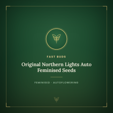 Original Northern Lights Auto Feminised Seeds Original Northern Lights Auto Feminised Seeds
