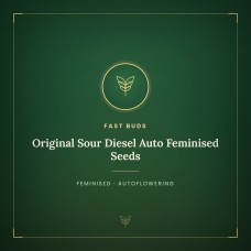 Original Sour Diesel Auto Feminised Seeds Original Sour Diesel Auto Feminised Seeds