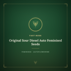 Original Sour Diesel Auto Feminised Seeds Original Sour Diesel Auto Feminised Seeds