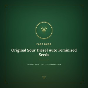 Original Sour Diesel Auto Feminised Seeds