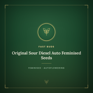 Original Sour Diesel Auto Feminised Seeds Original Sour Diesel Auto Feminised Seeds