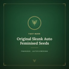 Original Skunk Auto Feminised Seeds Original Skunk Auto Feminised Seeds