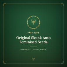 Original Skunk Auto Feminised Seeds Original Skunk Auto Feminised Seeds