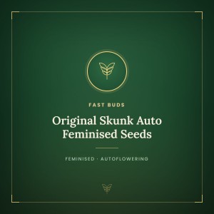Original Skunk Auto Feminised Seeds
