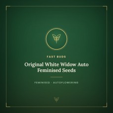 Original White Widow Auto Feminised Seeds Original White Widow Auto Feminised Seeds