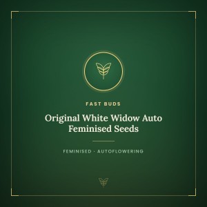 Original White Widow Auto Feminised Seeds