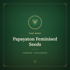 Papayaton Feminised Seeds