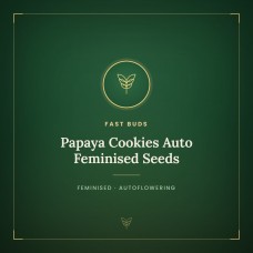 Papaya Cookies Auto Feminised Seeds Papaya Cookies Auto Feminised Seeds