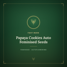 Papaya Cookies Auto Feminised Seeds Papaya Cookies Auto Feminised Seeds